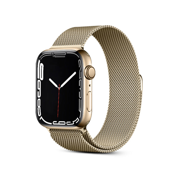 Champagne Gold | Stainless Steel Alloy Magnetic Strap