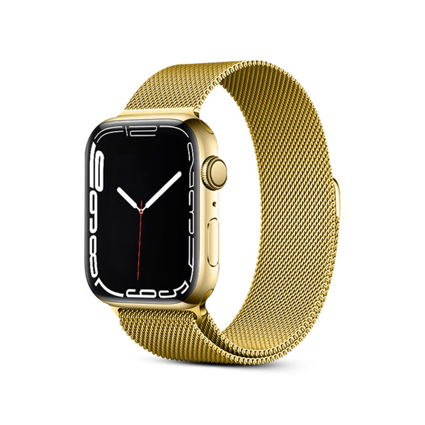Gold | Stainless Steel Alloy Magnetic Strap